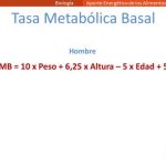 Canales energ&eacute;ticos del cuerpo humano