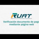 Niveles de vibracion energetica