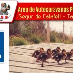 Que es icam en seguridad