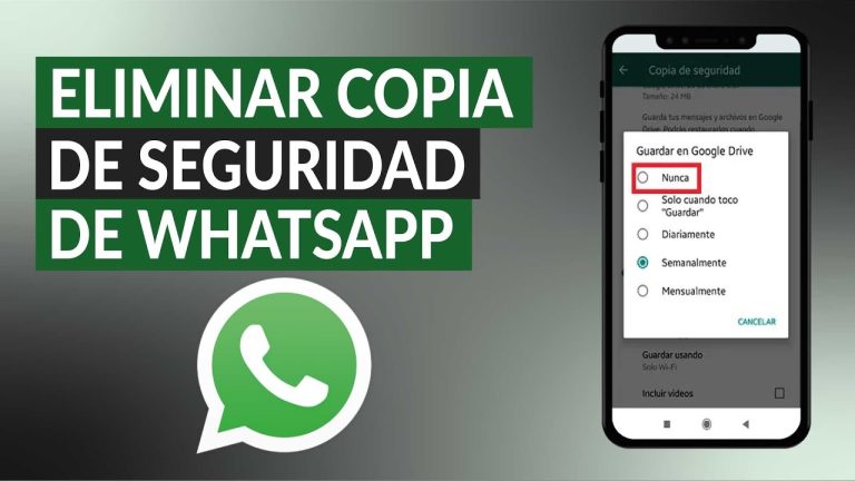 Que pasa si elimino la copia de seguridad de whatsapp