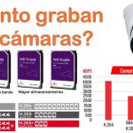 Que es copia de seguridad local en whatsapp
