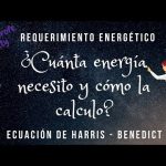 Canales energ&eacute;ticos del cuerpo humano