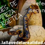 Formula para calcular la eficiencia energetica