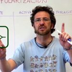 Cuales son los componentes de un correo electronico