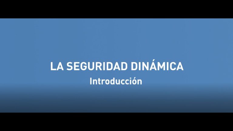 Que es la seguridad dinamica